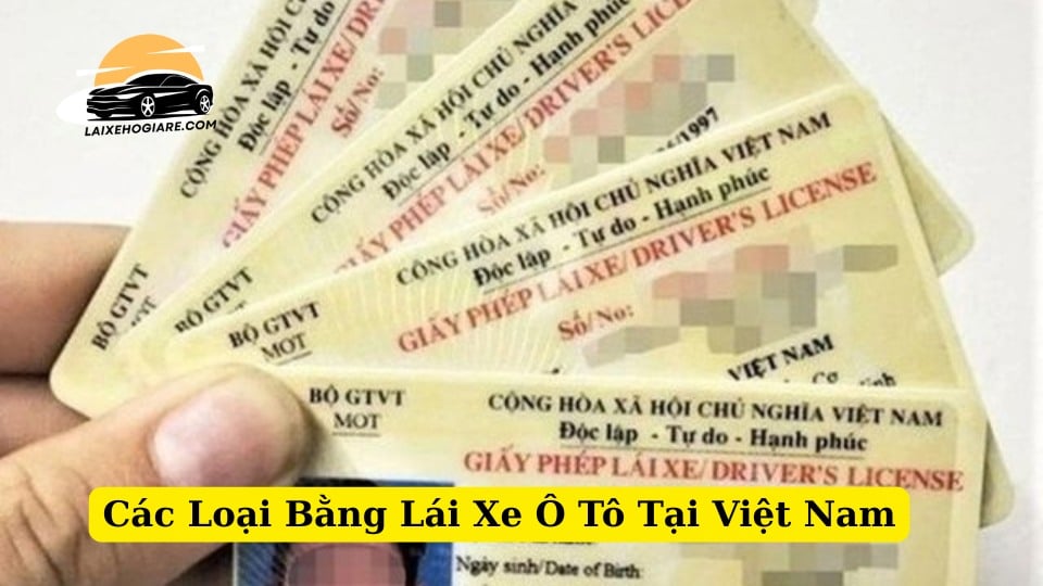 Các Loại Bằng Lái Xe Ô Tô Tại Việt Nam