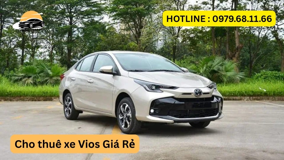 Cho thuê xe Vios Giá Rẻ
