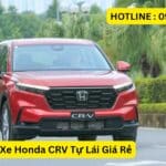 Cho Thuê Xe Honda CRV Tự Lái Giá Rẻ